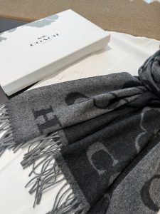 Coach Shawl - view 8