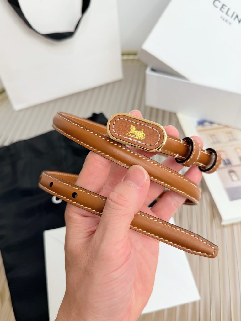 Celine Belt - view 1