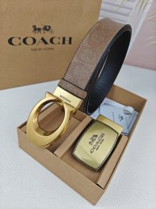 Coach Belt - view 2
