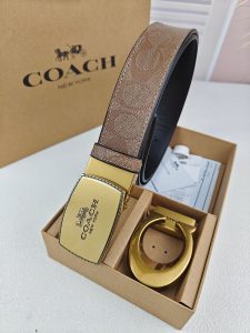 Coach Belt - view 5