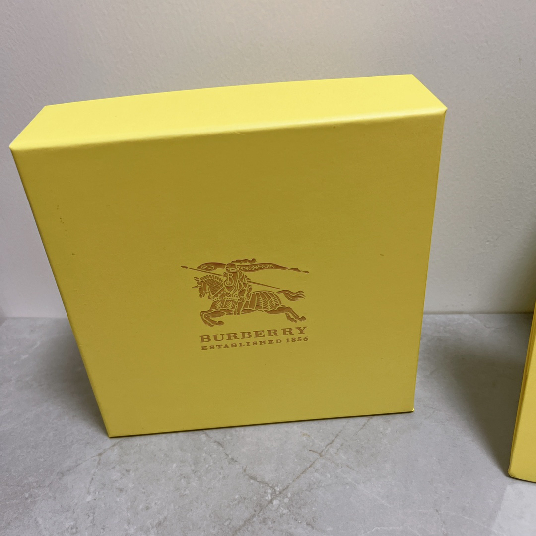Burberry Belt - view 9