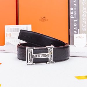 Belt - view 2