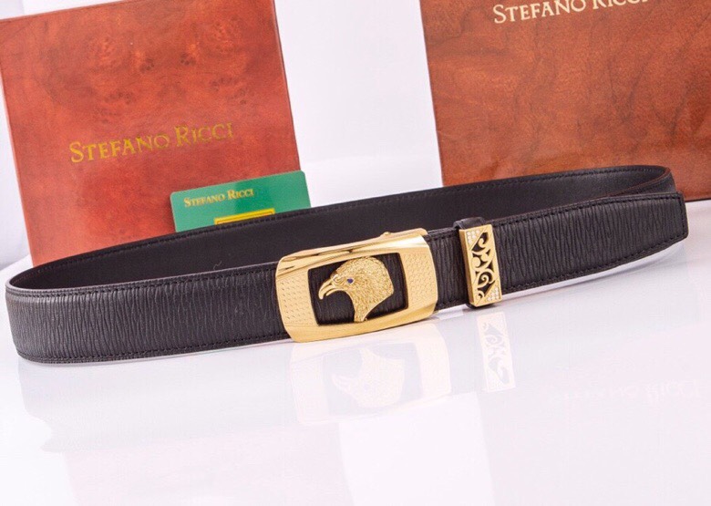 Belt - view 1