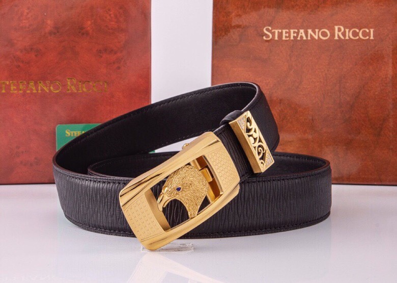 Belt - view 2