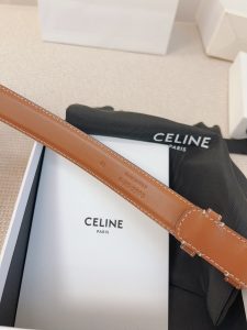 Celine Belt - view 6