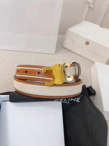 Celine Belt - view 5