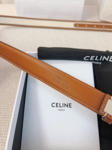 Celine Belt - view 6