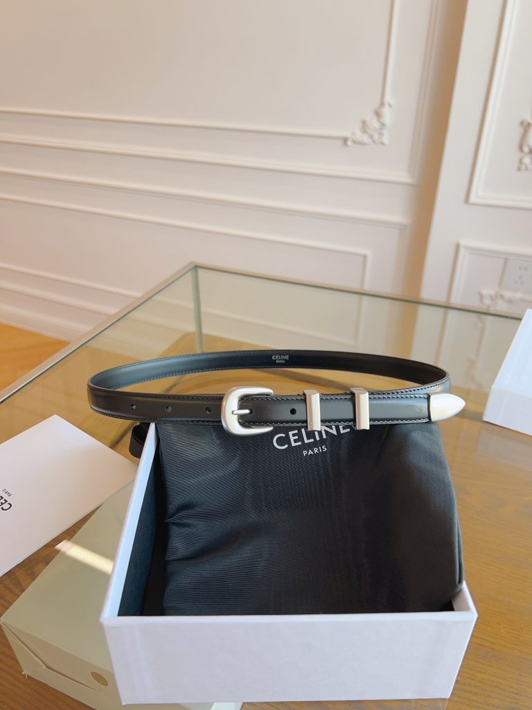 Celine Belt - view 1
