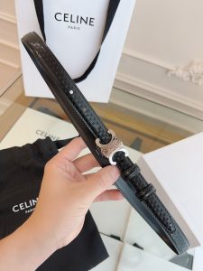 Celine Belt - view 3