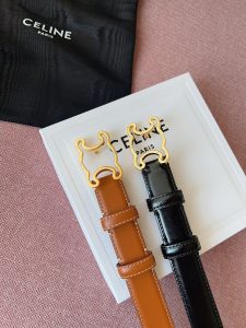 Celine Belt - view 9