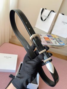 Celine Belt - view 9