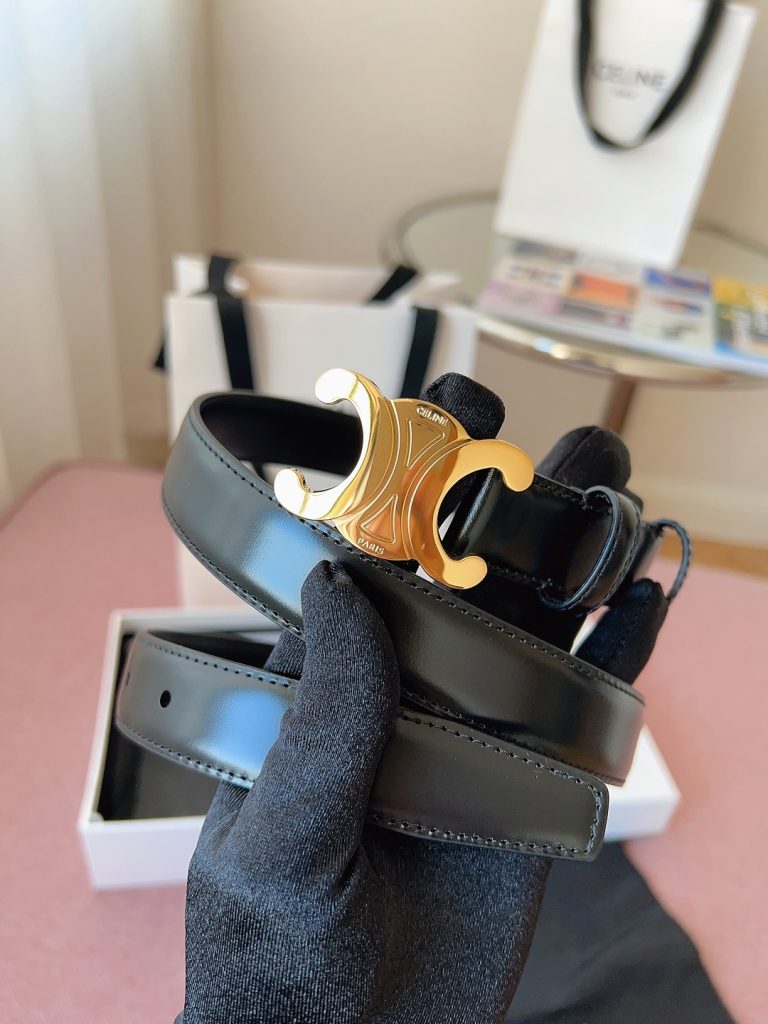 Celine Belt - view 1
