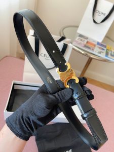 Celine Belt - view 3