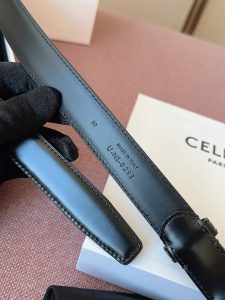 Celine Belt - view 7