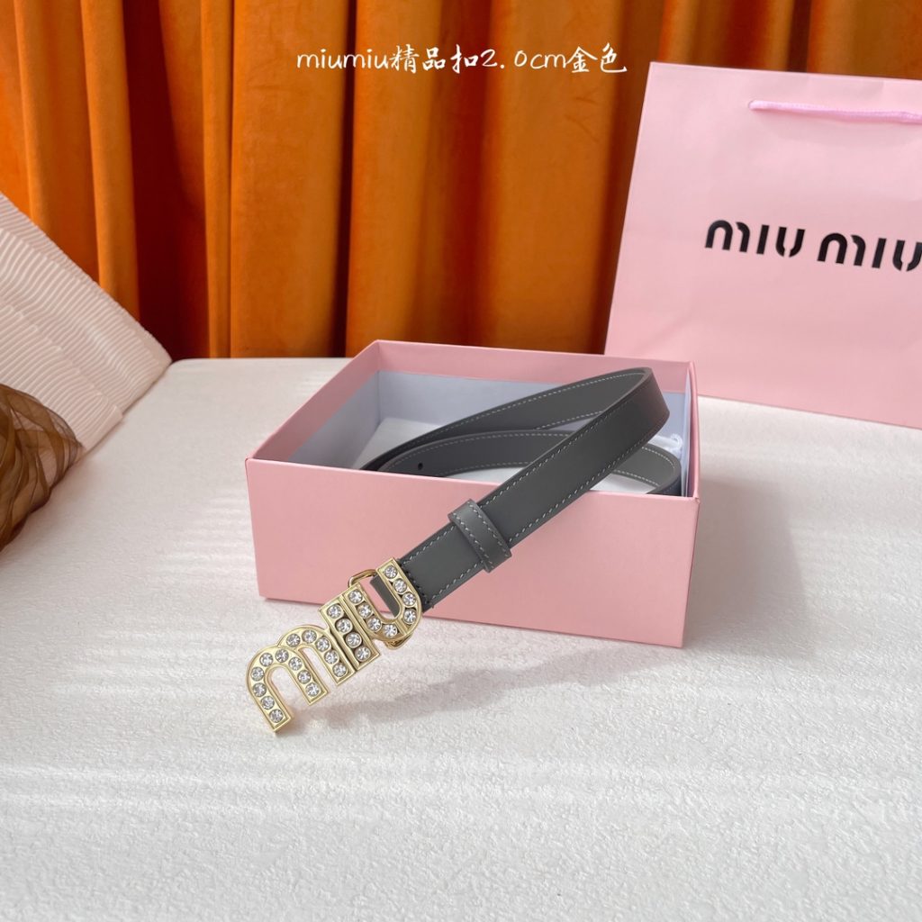 Miu Miu Belt - view 1