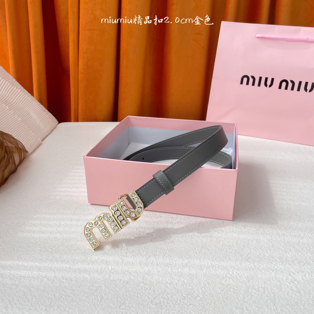 Miu Miu Belt - view 1
