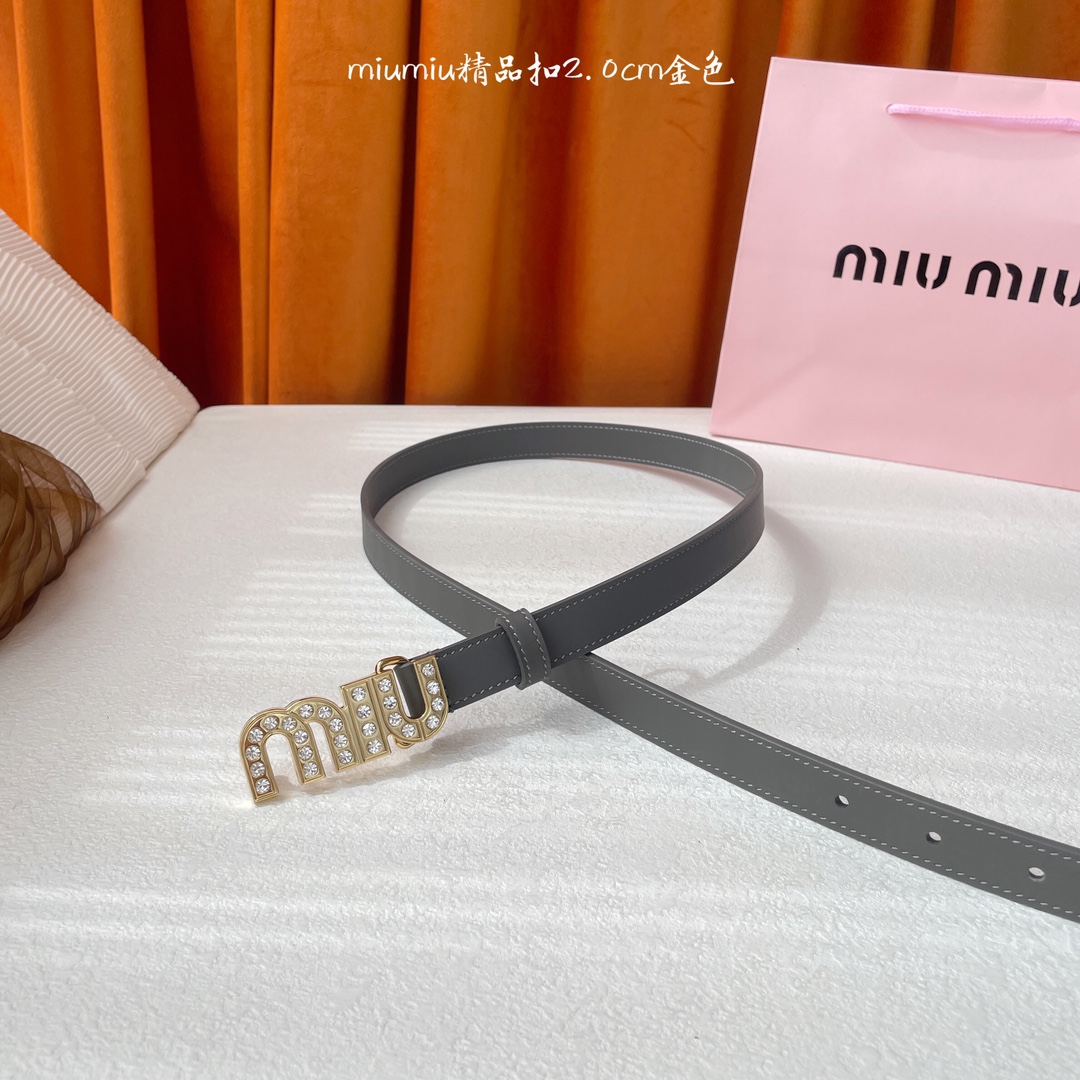 Miu Miu Belt - view 3