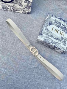 Dior Belt - view 4
