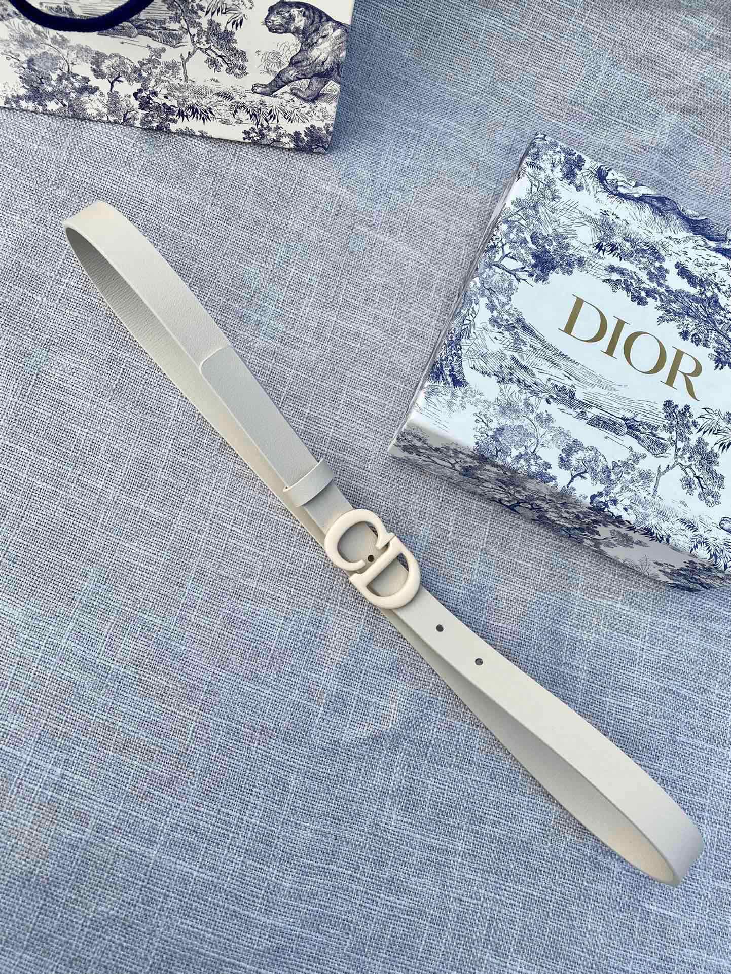 Dior Belt - view 4