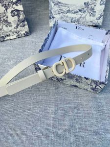 Dior Belt - view 5