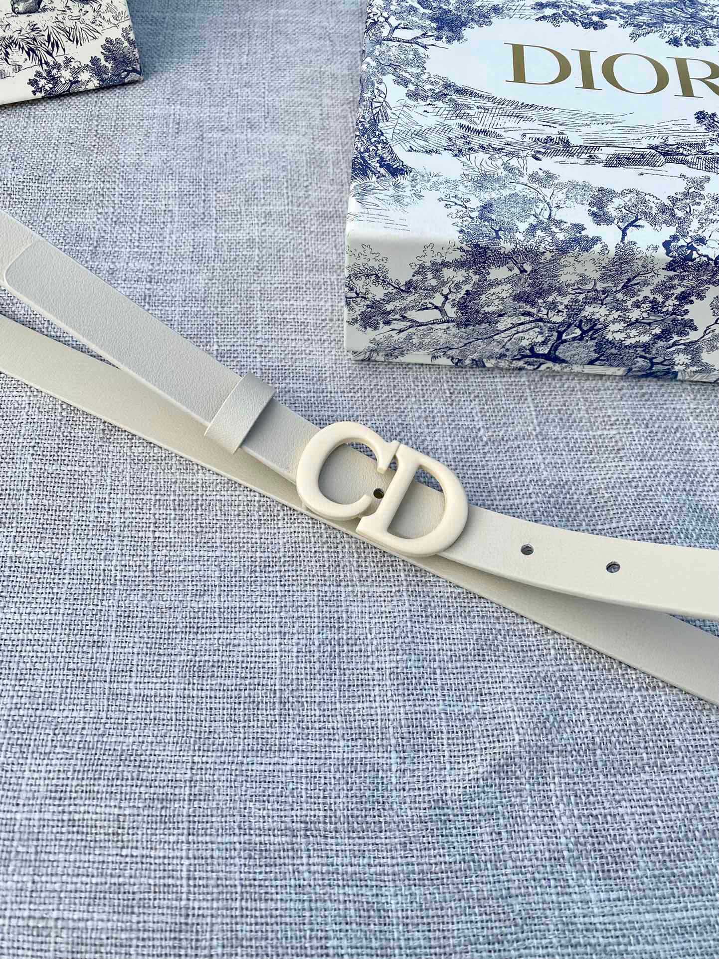 Dior Belt - view 6