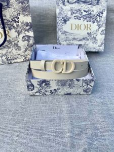 Dior Belt - view 7