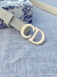 Dior Belt - view 8